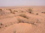 Sand dunes, Tunisia