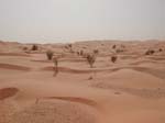 Sand dunes, Tunisia