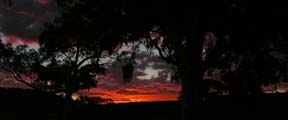 Sunset at Boggy Hole, Finke Gorge National Park, Northern Territory, Australia