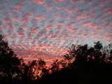 Sunrise on the Roper Hwy, approx. 70 east of Mataranka, Northern Territory, Australia